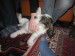 5img_1782w
