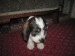 6img_1784w